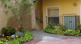 StCAS-Garden